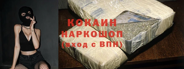 стаф Алзамай
