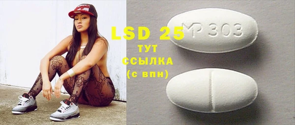 стаф Алзамай