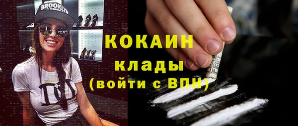 стаф Алзамай