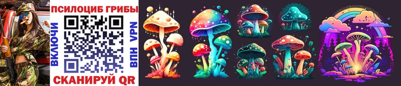 где продают наркотики Родники Галлюциногенные грибы Psilocybine cubensis